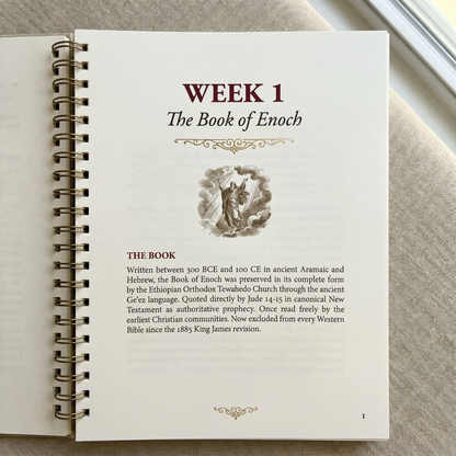 The Lost Books of the Bible: 52 Week Workbook for Adults
